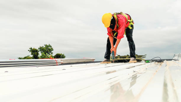 Best 4 Ply Roofing  in Montpelier, ID